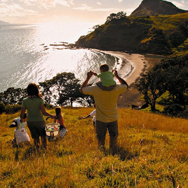 How to plan the perfect picnic